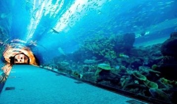 Посещение аквариума в Dubai Mall, Дубаи, ОАЭ