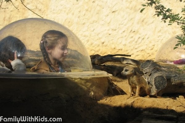 The Tisch Biblical Zoo in Jerusalem, Israel