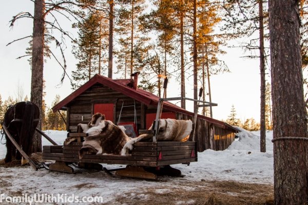 Trysil Hestesenter, конные прогулки и туры на лошадях, катание на санях зимой в Норвегии