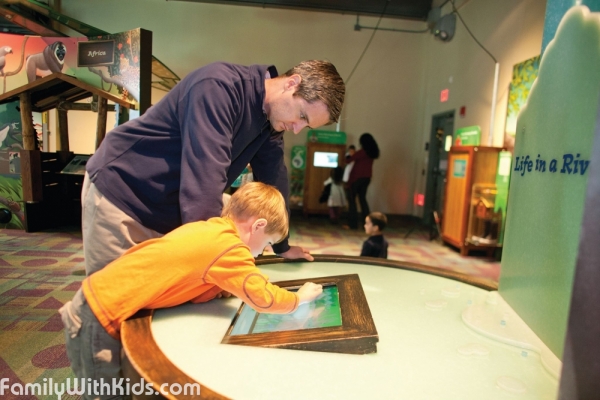 Bay Area Discovery Museum, интерактивный музей в Саусалито, пригород Сан-Франциско, США