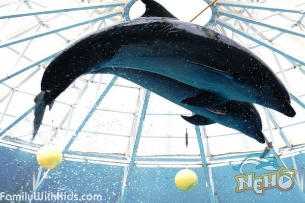 The Nemo Dolphinarium in Minsk, Belarus