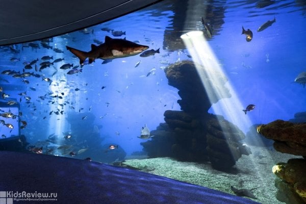 The Palma Aquarium in Palma-de-Mallorca, Spain 