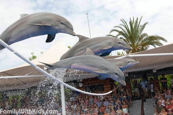 The Marineland dolphinarium, zoo and aquarium in Mallorca, Spain