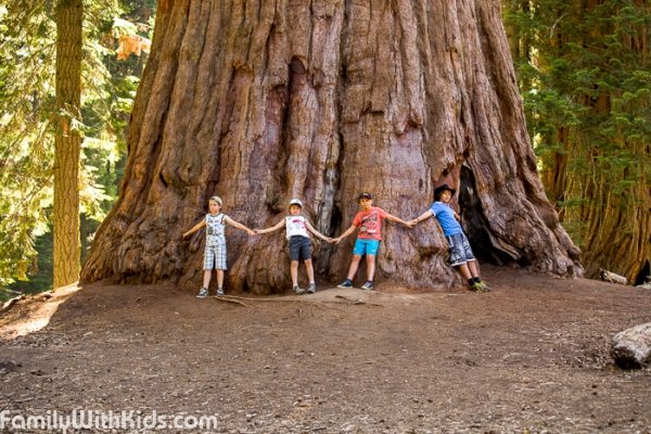 Sequoia & Kings Canyon National Parks in California, USA