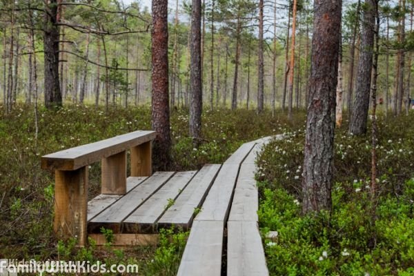 Валкмуса, национальный парк в провинции Кюменлааксо, Финляндия