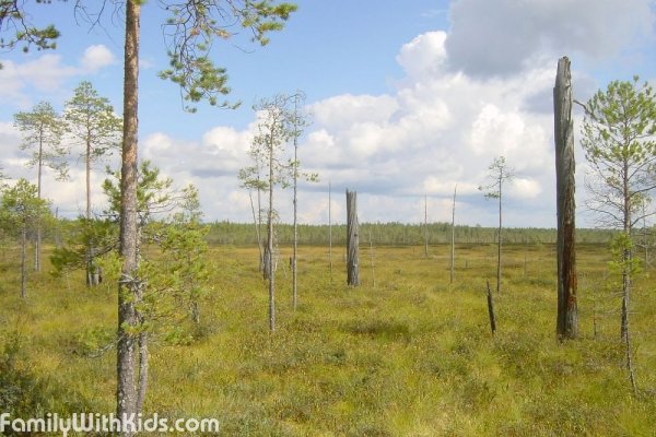 The Patvinsuo National Park, Finland