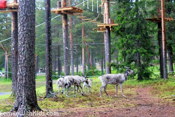 Arctic Adventure Park Huima, rope park for kids and adults in Rovaniemi, Finland
