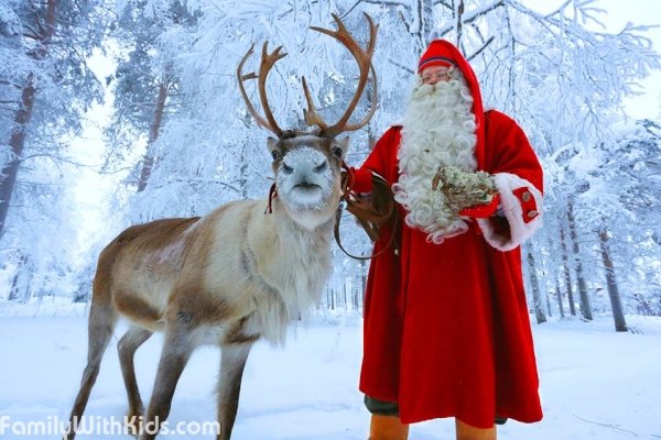Santa Claus Reindeer at the Arctic Circle in Lapland, reindeer sleigh rides at Santa Claus Village in Rovaniemi, Finland