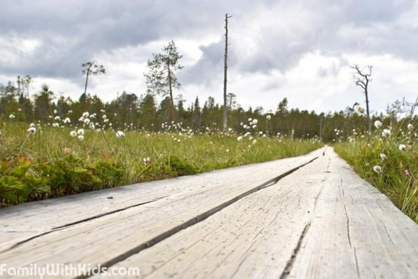 Arctic Circle Hiking Area, пешие маршруты для всей семьи и тропы в регионе Рованиеми, Финляндия