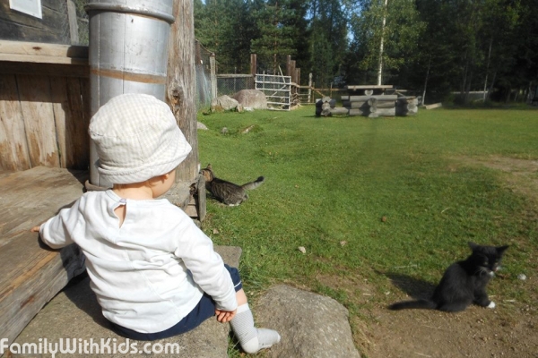 "Юситиен Леммикки", Ysitien Lemmikki Zoo, зоопарк, парк домашних животных в Ювяскюля, Центральная Финляндия