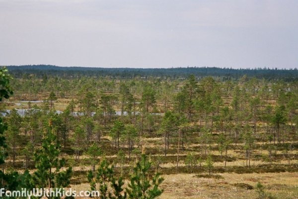 The Kauhaneva-Pohjankangas National Park, Southern Ostrobothnia, Finland