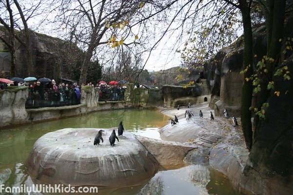 Венсенский зоопарк в Париже, Paris Zoo, Zoo de Vincennes, Франция