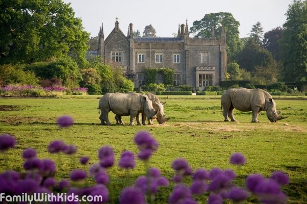 Cotswold Wildlife Park and Gardens, зоопарк и сады в Оксфордшире, Великобритания