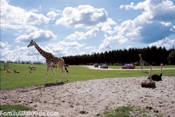 The Givskud Zoo and safari-park in Denmark