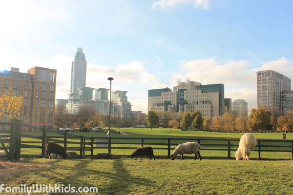 The Vauxhall City Farm, riding lessons in London, Great Britain