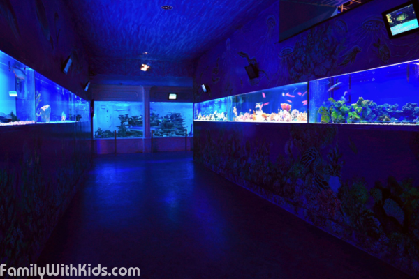 The Water World aquarium in Prague, Czech Republic