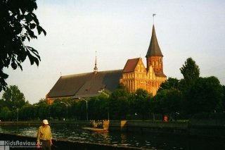 What to See in Kaliningrad with Kids: A Guide for a Family Vacation, Russia