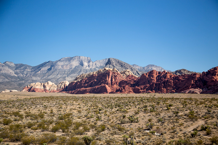 Photo-review of the Red Rock Canyon National Conservation Area in ...