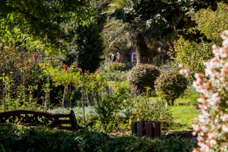 Ботанический сад, Тбилиси, Грузия