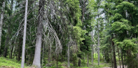 The Nuuksio National Park in Espoo, Finland