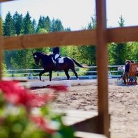 Gobbacka Stall Ky, horse riding lessons for children and adults and summer camp in Espoo, Finland