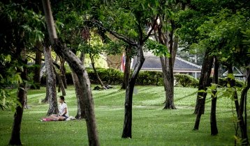 Отдых с детьми в Бангкоке: парки, где стоит побывать всей семьей, отзыв родителя