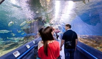 Things to Do with Kids in St. Petersburg: 10 Fun Ideas for a Winter or Summer Vacation in St. Petersburg, Russia 