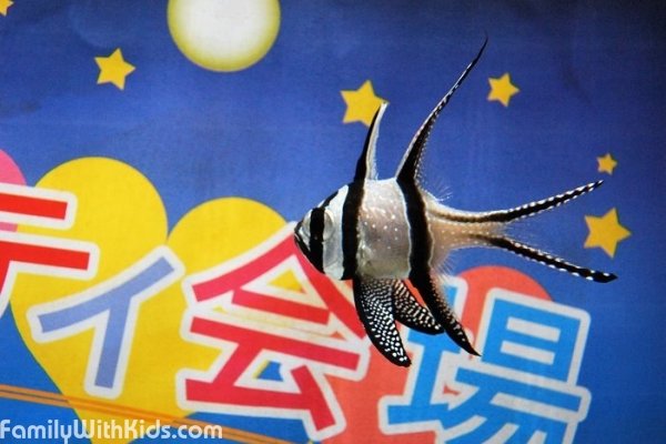 Yoshimoto Aquarium of Fun, аквариум с игровой комнатой, Йокогама, Япония