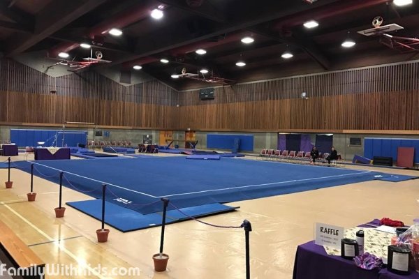 Redwood Empire Gymnastics, спортивный зал, занятия гимнастикой, Петалума, Калифорния, США