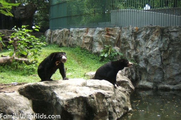 Dusit Zoo, зоопарк Дусит, городской зоопарк Бангкока, Тайланд