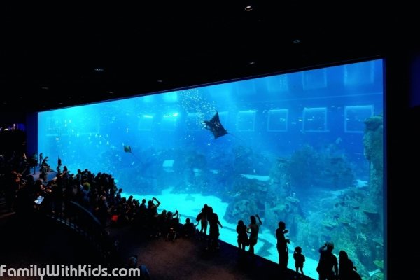 S.E.A. Aquarium, океанариум в Сингапуре
