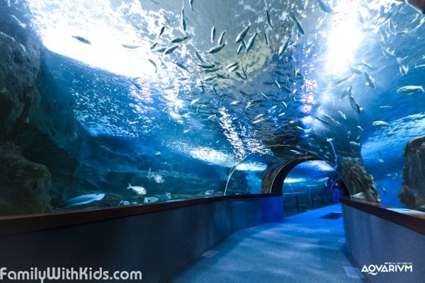 El Aquarium de Donostia, Аквариум Сан-Себастьяна, Испания