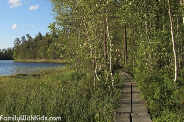 "Природная тропа вокруг озера Калалампи" (Kalalapmi), пешеходный лесной маршрут в центре Коуволы, юго-восточная Финляндия
