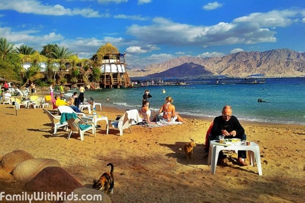 The Dolphin Reef in Eilat, Israel