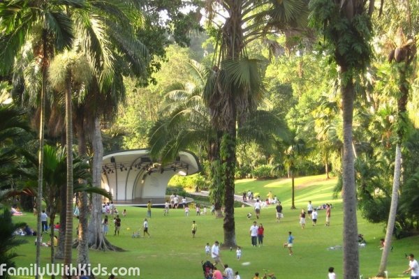 Сингапурский ботанический сад и Национальный сад орхидей, игровая площадка Jacob Ballas Children’s Garden, Сингапур