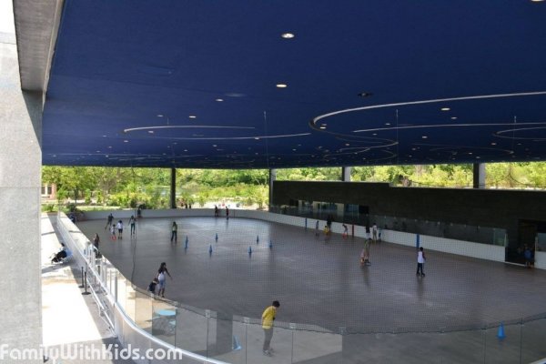 The Lakeside Ice Rink in the Prospect park in Brooklyn, New York, USA