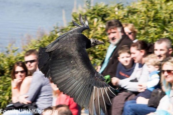 The Bird Park in Villars-les-Dombes in 40 km from Lyon, France