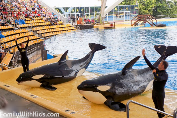 The Loro Parque Zoo, oceanarium and dolphinarium in Tenerife, Spain
