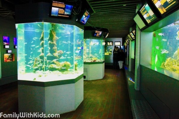 The Øresund Aquarium in Helsingør, Oresundsakvariet, Denmark