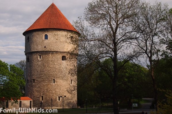 The Kiek in de Kok tower-museum in Tallinn, Estonia