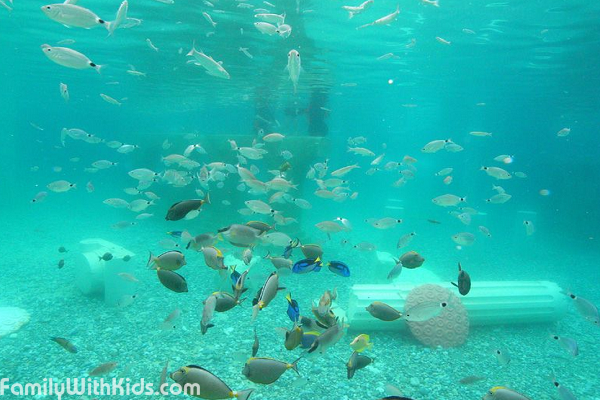 The Sealanya dolphinarium and water centre in Alanya, Turkey