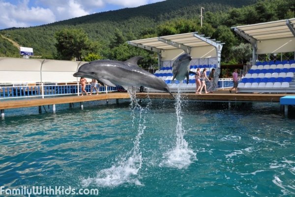 The Bodrum Dolphin Park dolphinarium in Bodrum, Turkey