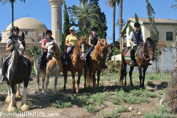 G&C Horse Masters ltd, клуб верховой езды, верховая езда на Кипре, Ларнака