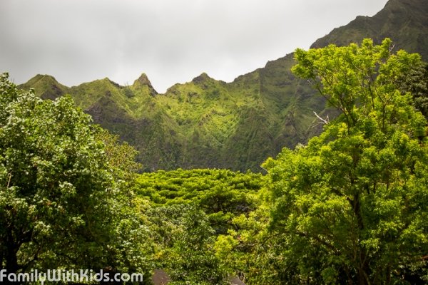 Pictures From The Ho Omaluhia Botanical Garden In Honolulu Hawaii