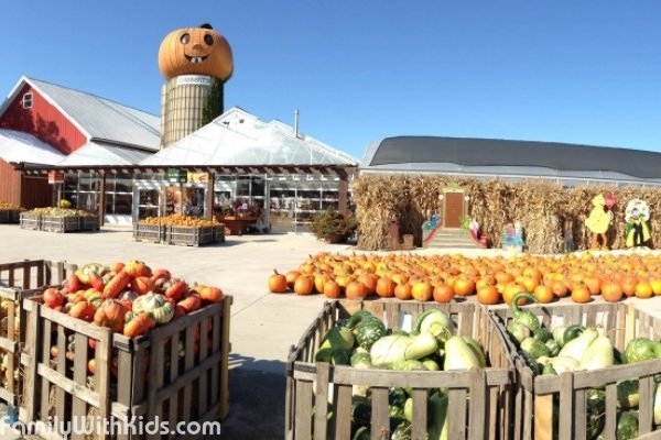 Goebbert’s Pumpkin Farm & Garden Center, ферма и цветочный рынок, Чикаго, США