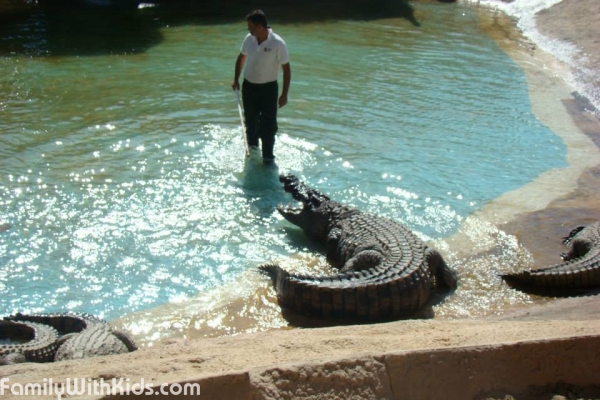 Cocodrilo Park, Парк крокодилов, Канары