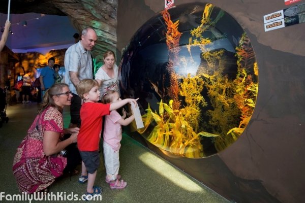 The Sea Life Aquarium in Sydney, Australia