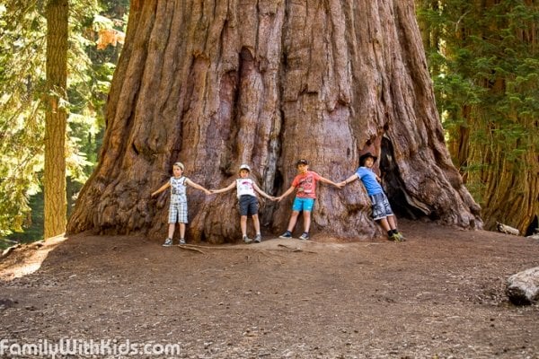 Sequoia & Kings Canyon National Parks in California, USA