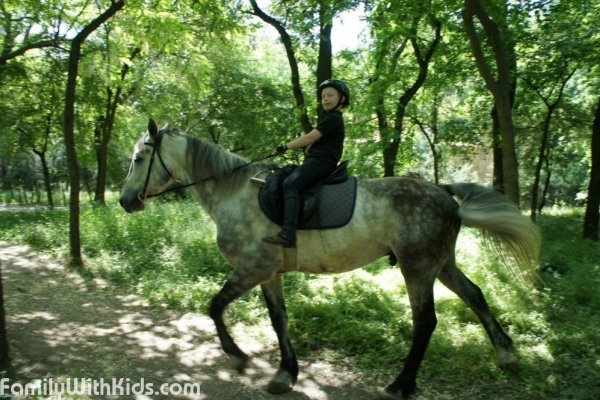 "Мустанг", конный клуб, катание на лошадях для детей и взрослых в Одессе