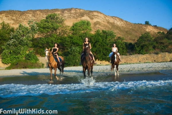"Пегас", конные прогулки, прокат лошадей, иппотерапия в Парке Победы, Одесса